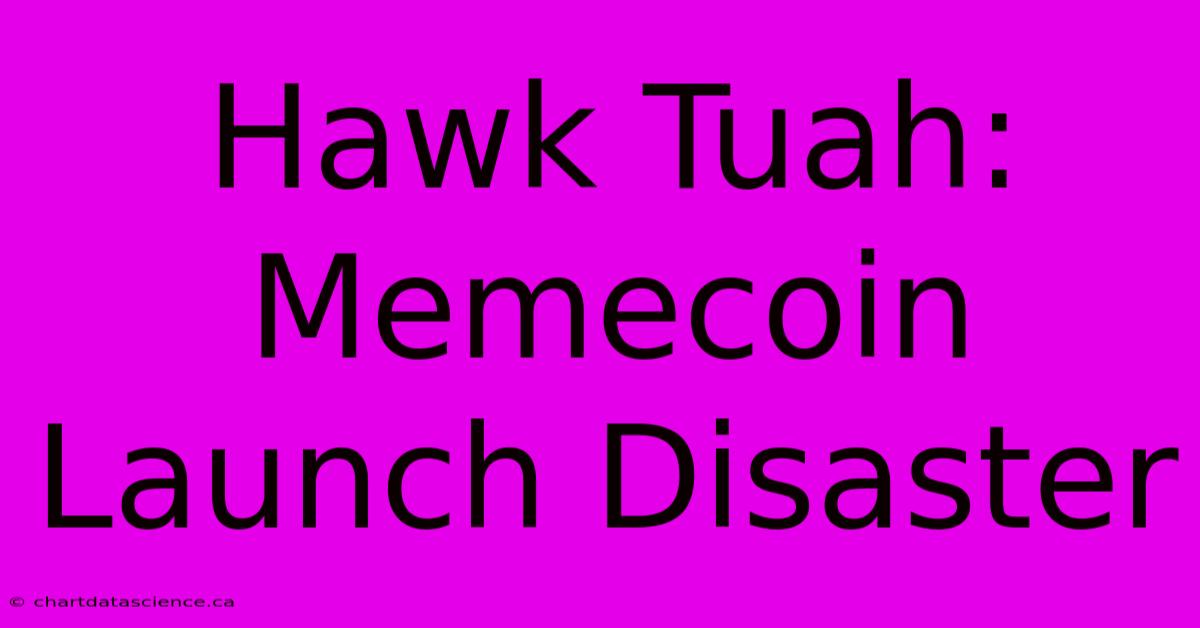 Hawk Tuah: Memecoin Launch Disaster