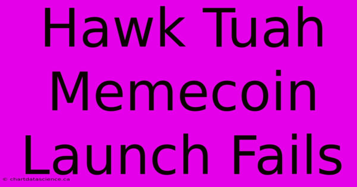 Hawk Tuah Memecoin Launch Fails