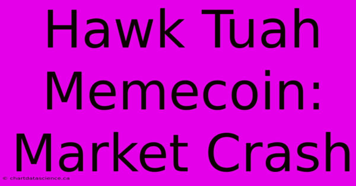 Hawk Tuah Memecoin: Market Crash