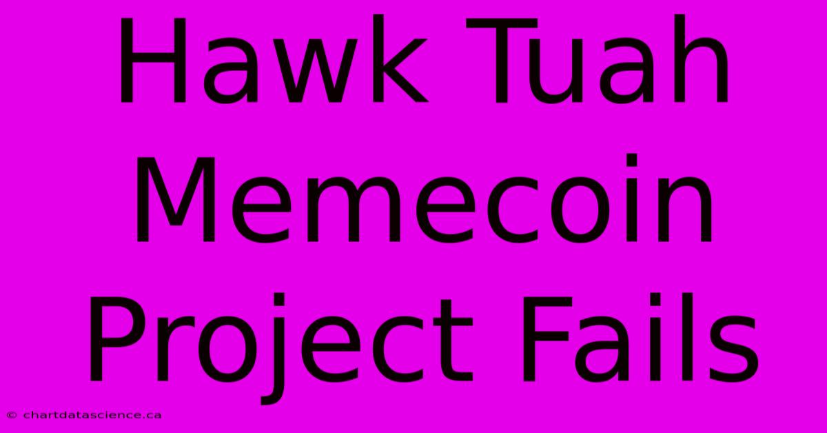 Hawk Tuah Memecoin Project Fails