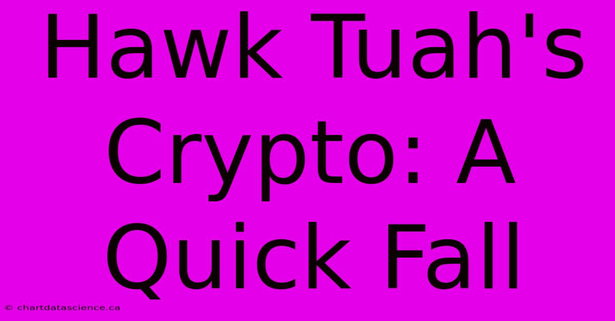 Hawk Tuah's Crypto: A Quick Fall