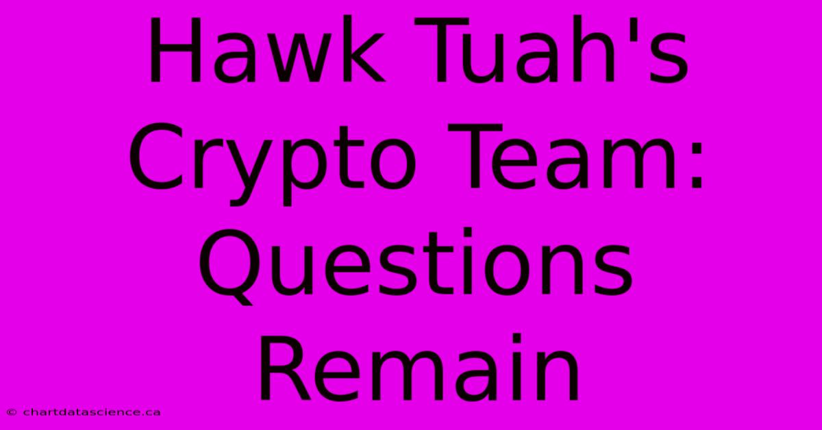 Hawk Tuah's Crypto Team: Questions Remain