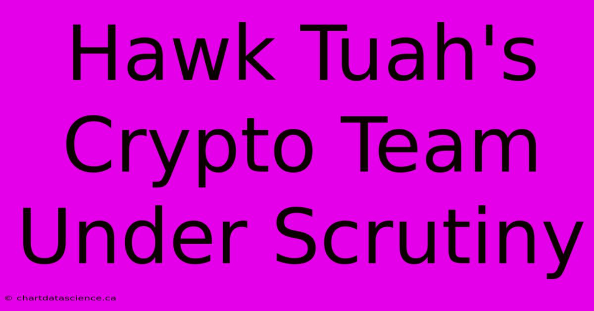 Hawk Tuah's Crypto Team Under Scrutiny