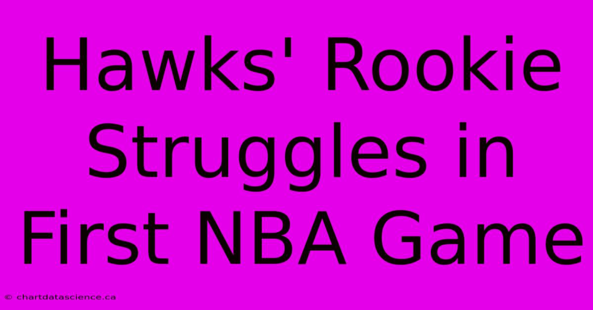 Hawks' Rookie Struggles In First NBA Game 