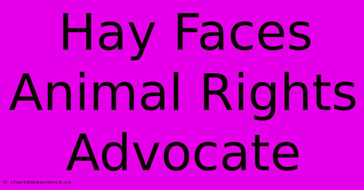 Hay Faces Animal Rights Advocate