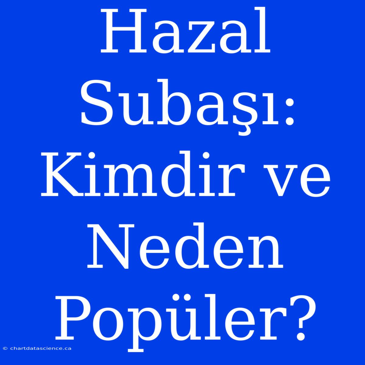 Hazal Subaşı: Kimdir Ve Neden Popüler?