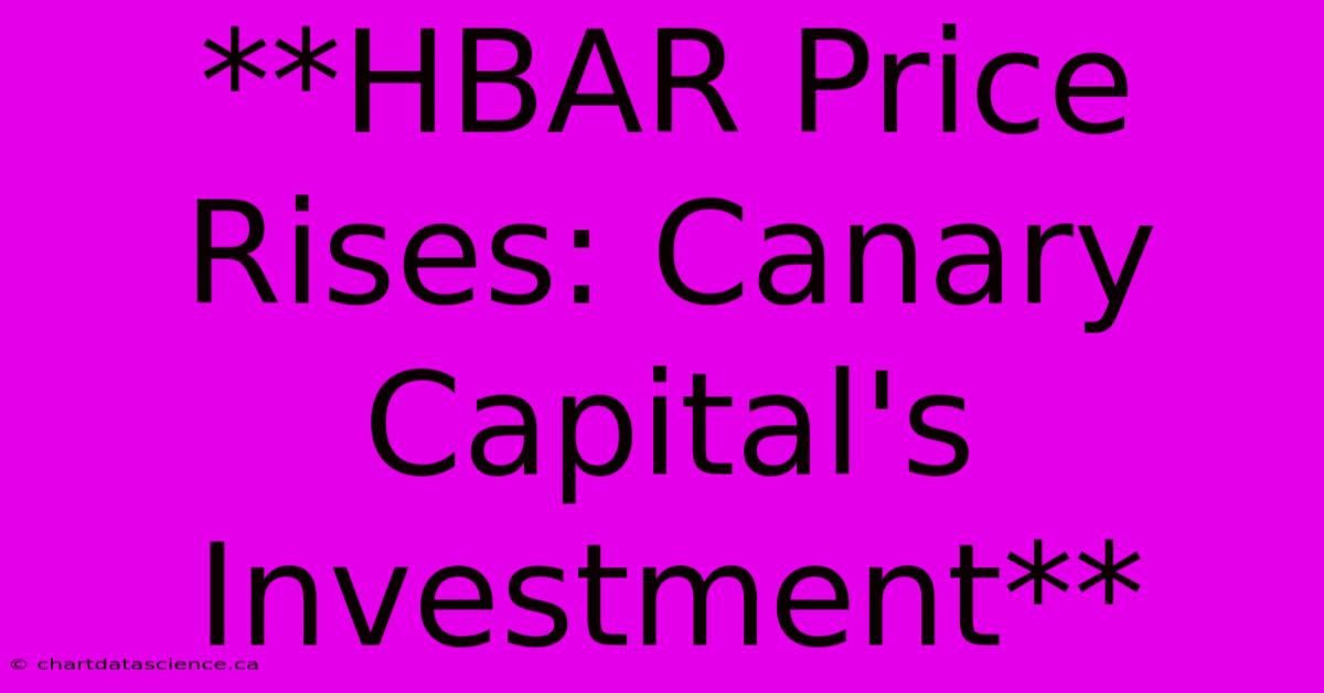 **HBAR Price Rises: Canary Capital's Investment** 