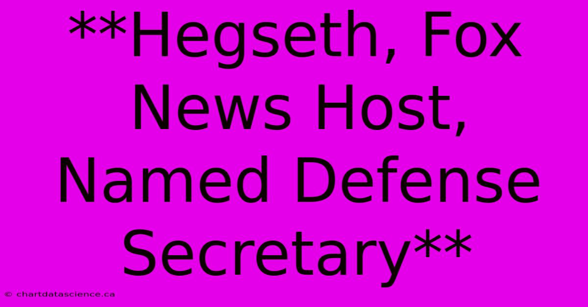 **Hegseth, Fox News Host, Named Defense Secretary**