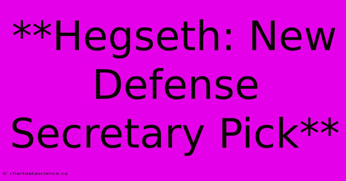 **Hegseth: New Defense Secretary Pick**