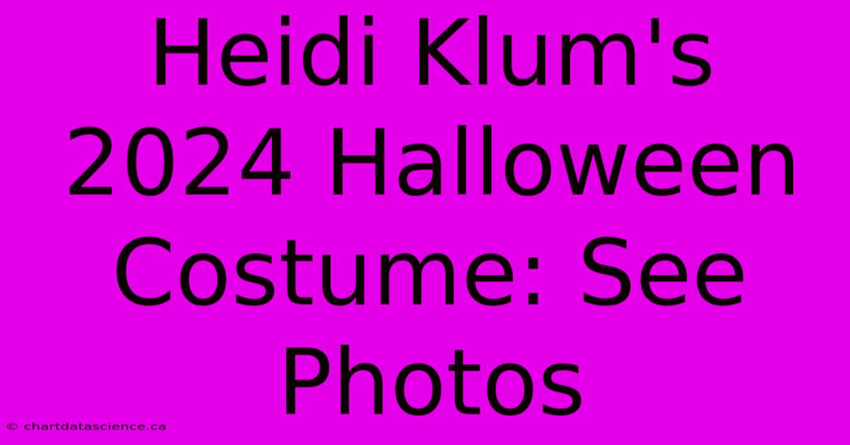 Heidi Klum's 2024 Halloween Costume: See Photos