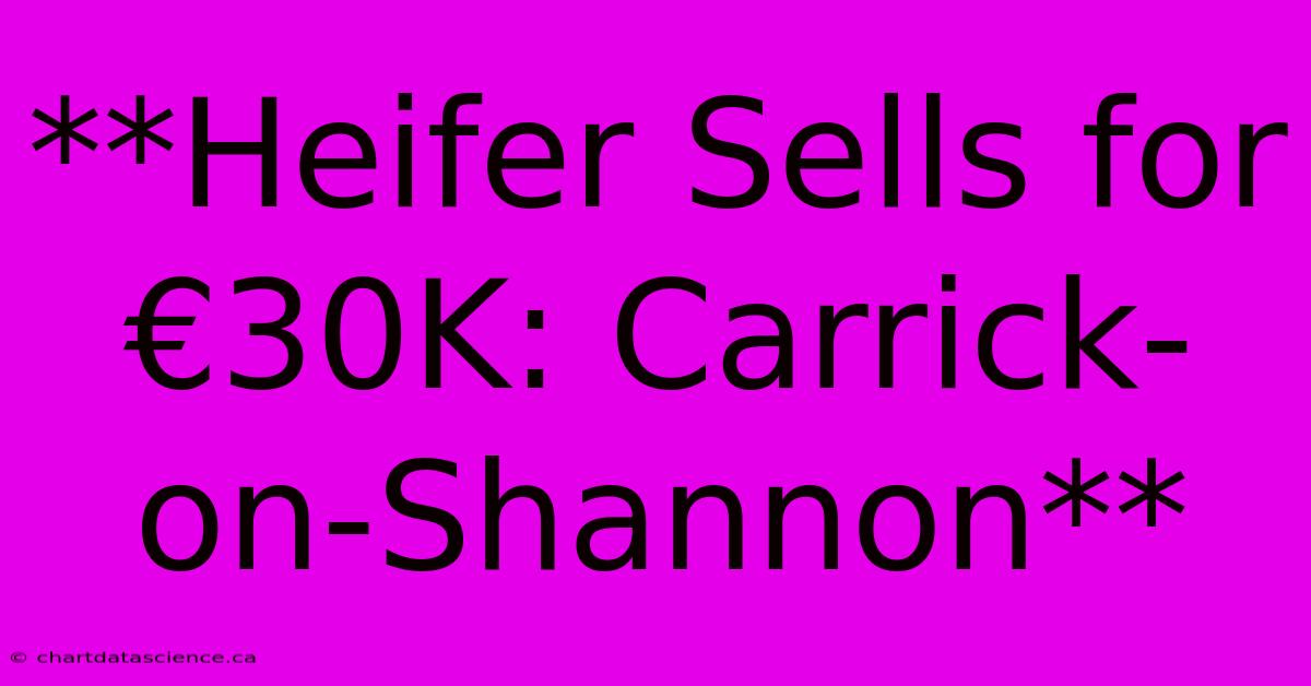 **Heifer Sells For €30K: Carrick-on-Shannon**