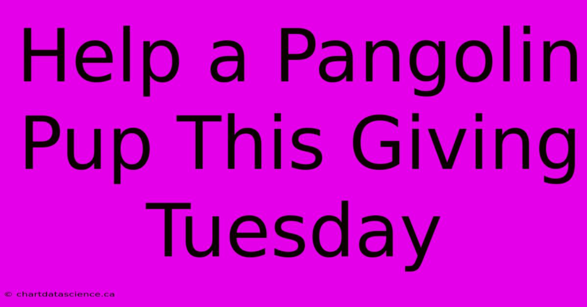 Help A Pangolin Pup This Giving Tuesday