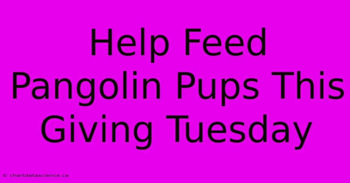 Help Feed Pangolin Pups This Giving Tuesday