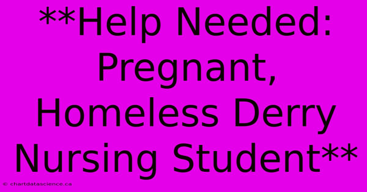 **Help Needed: Pregnant, Homeless Derry Nursing Student** 