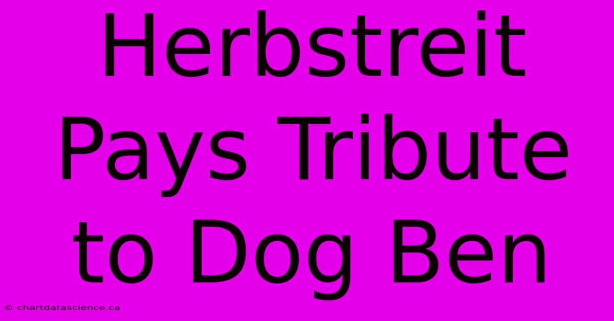 Herbstreit Pays Tribute To Dog Ben 