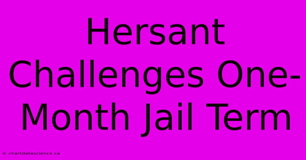 Hersant Challenges One-Month Jail Term