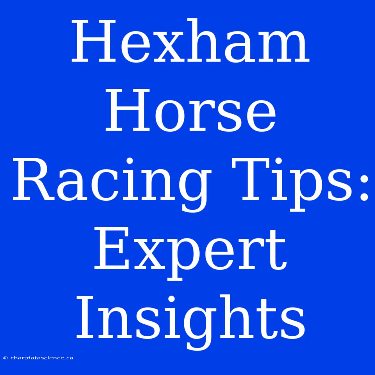 Hexham Horse Racing Tips: Expert Insights