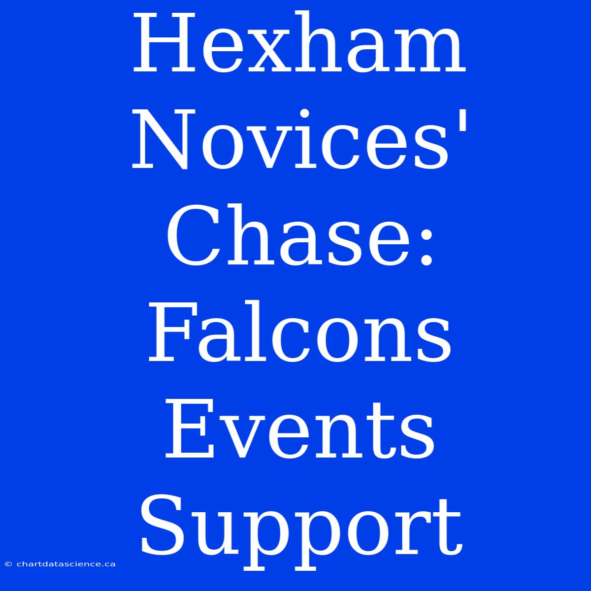 Hexham Novices' Chase: Falcons Events Support