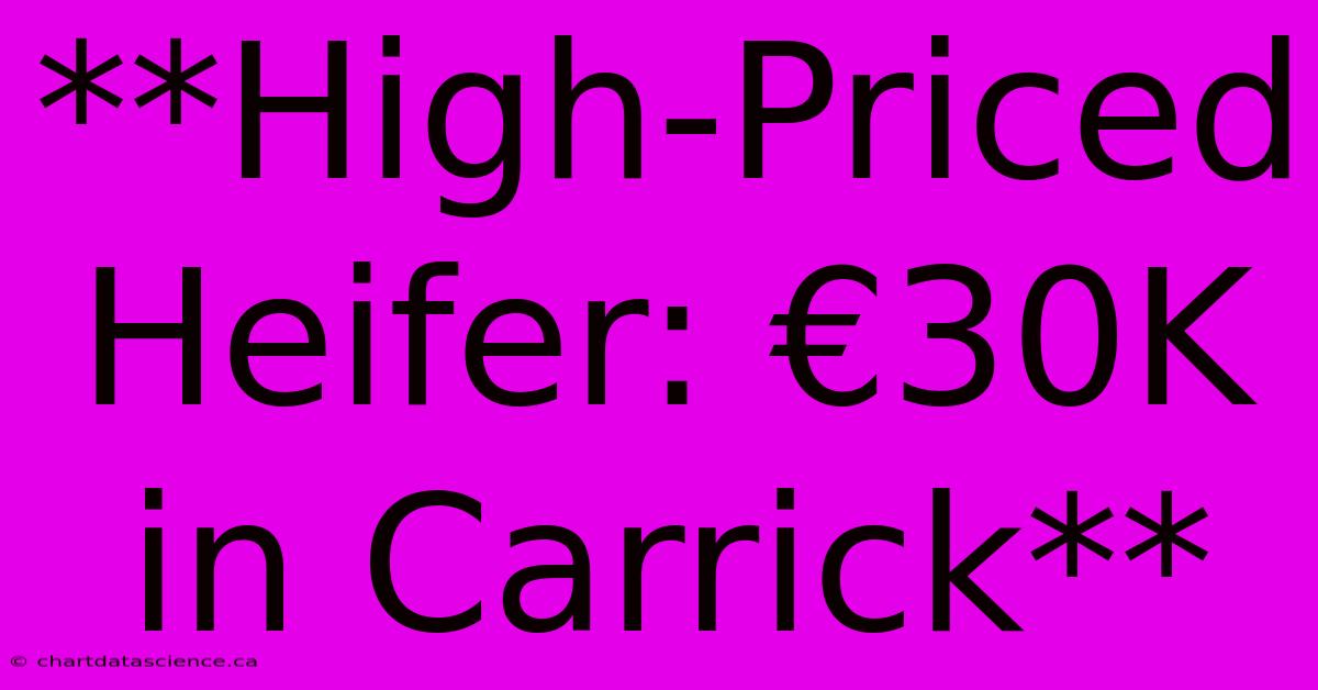 **High-Priced Heifer: €30K In Carrick**