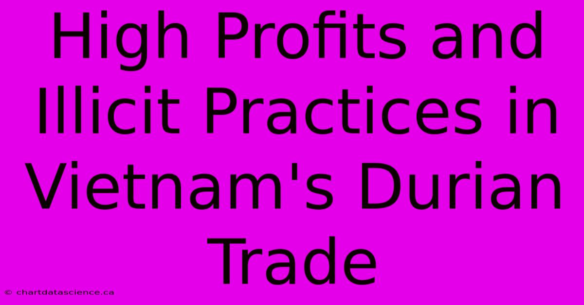 High Profits And Illicit Practices In Vietnam's Durian Trade 