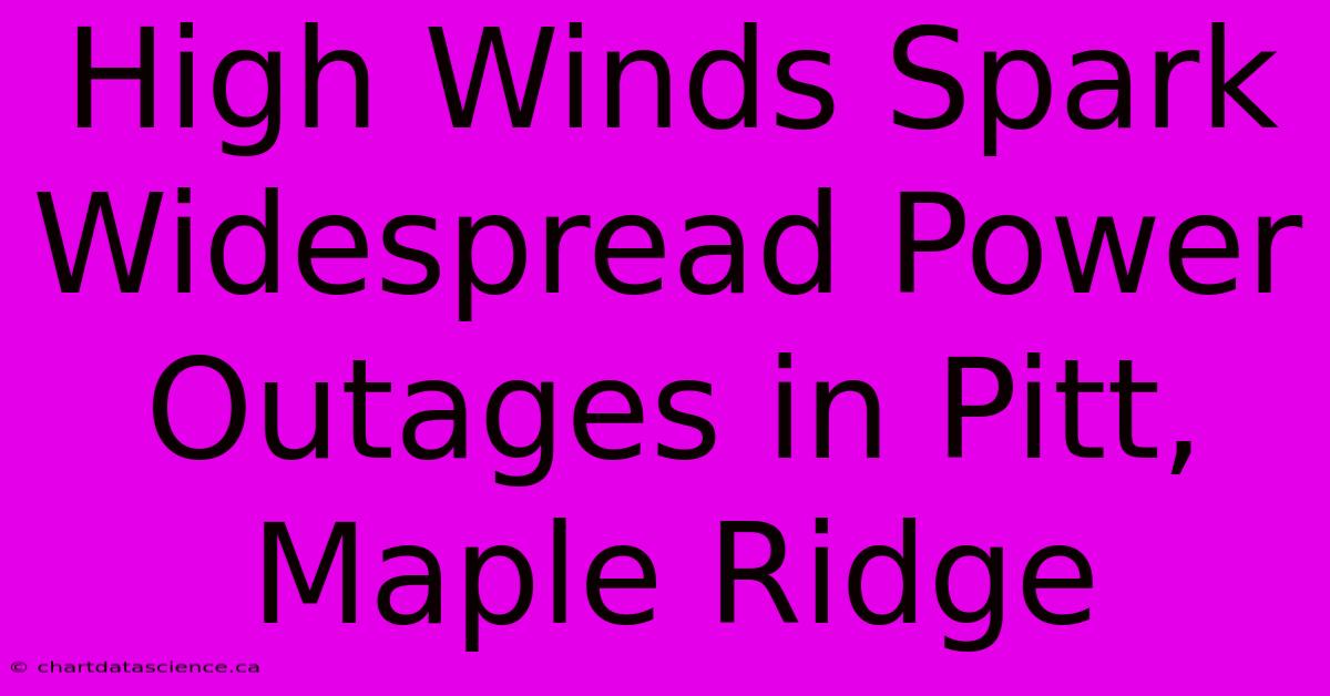 High Winds Spark Widespread Power Outages In Pitt, Maple Ridge