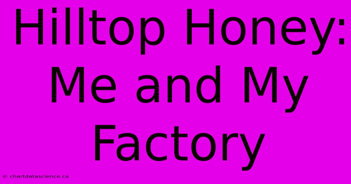 Hilltop Honey: Me And My Factory