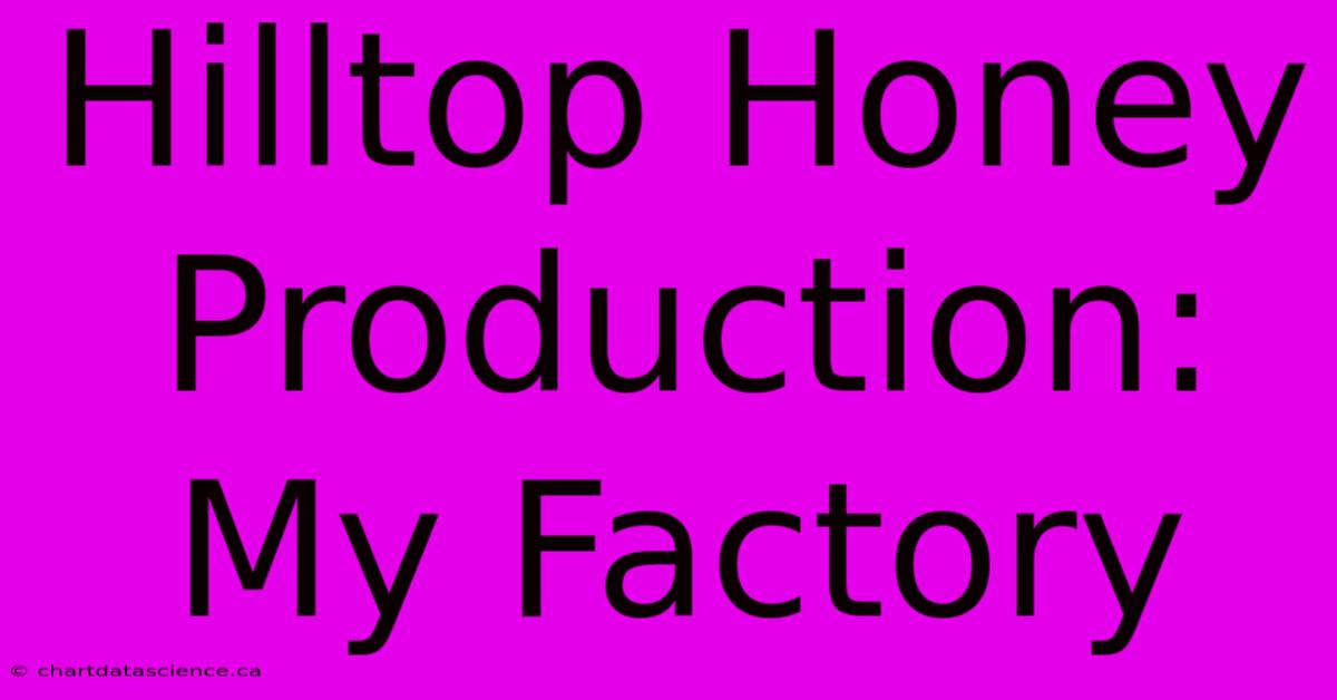 Hilltop Honey Production: My Factory