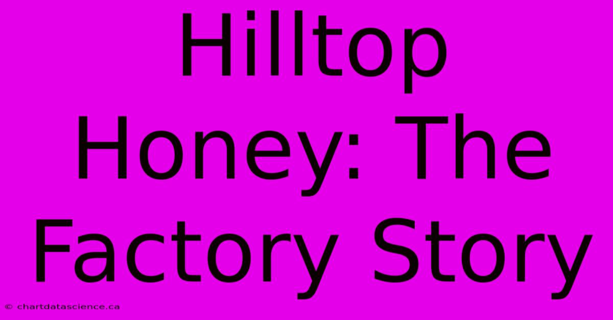 Hilltop Honey: The Factory Story