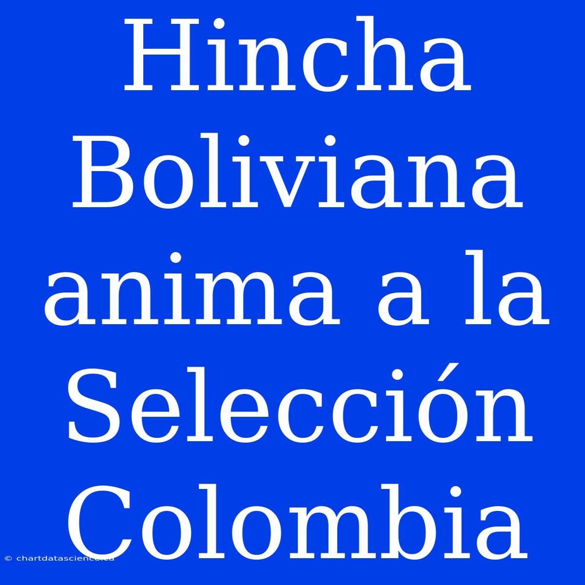 Hincha Boliviana Anima A La Selección Colombia