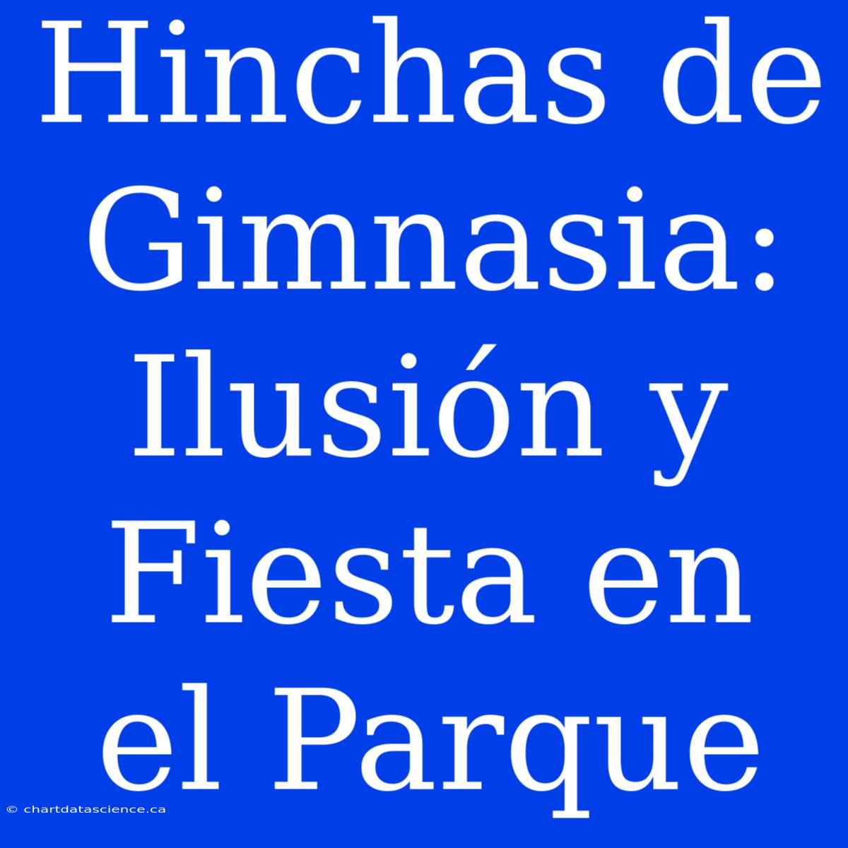 Hinchas De Gimnasia: Ilusión Y Fiesta En El Parque