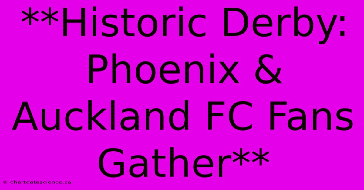 **Historic Derby: Phoenix & Auckland FC Fans Gather**