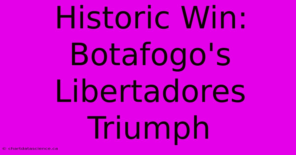 Historic Win: Botafogo's Libertadores Triumph