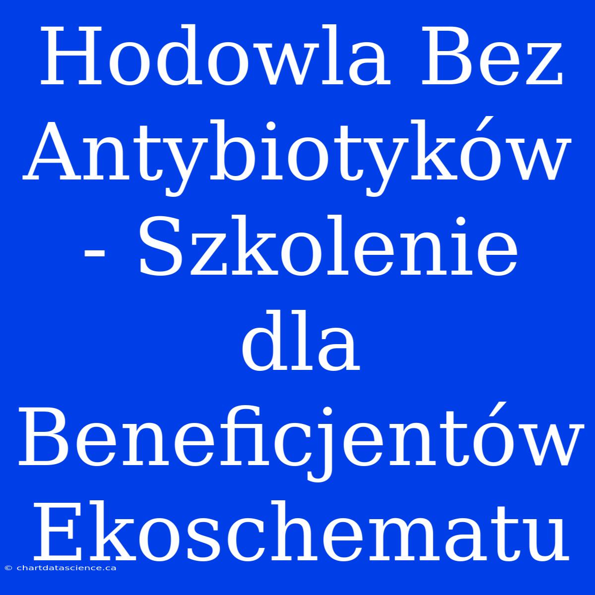 Hodowla Bez Antybiotyków - Szkolenie Dla Beneficjentów Ekoschematu