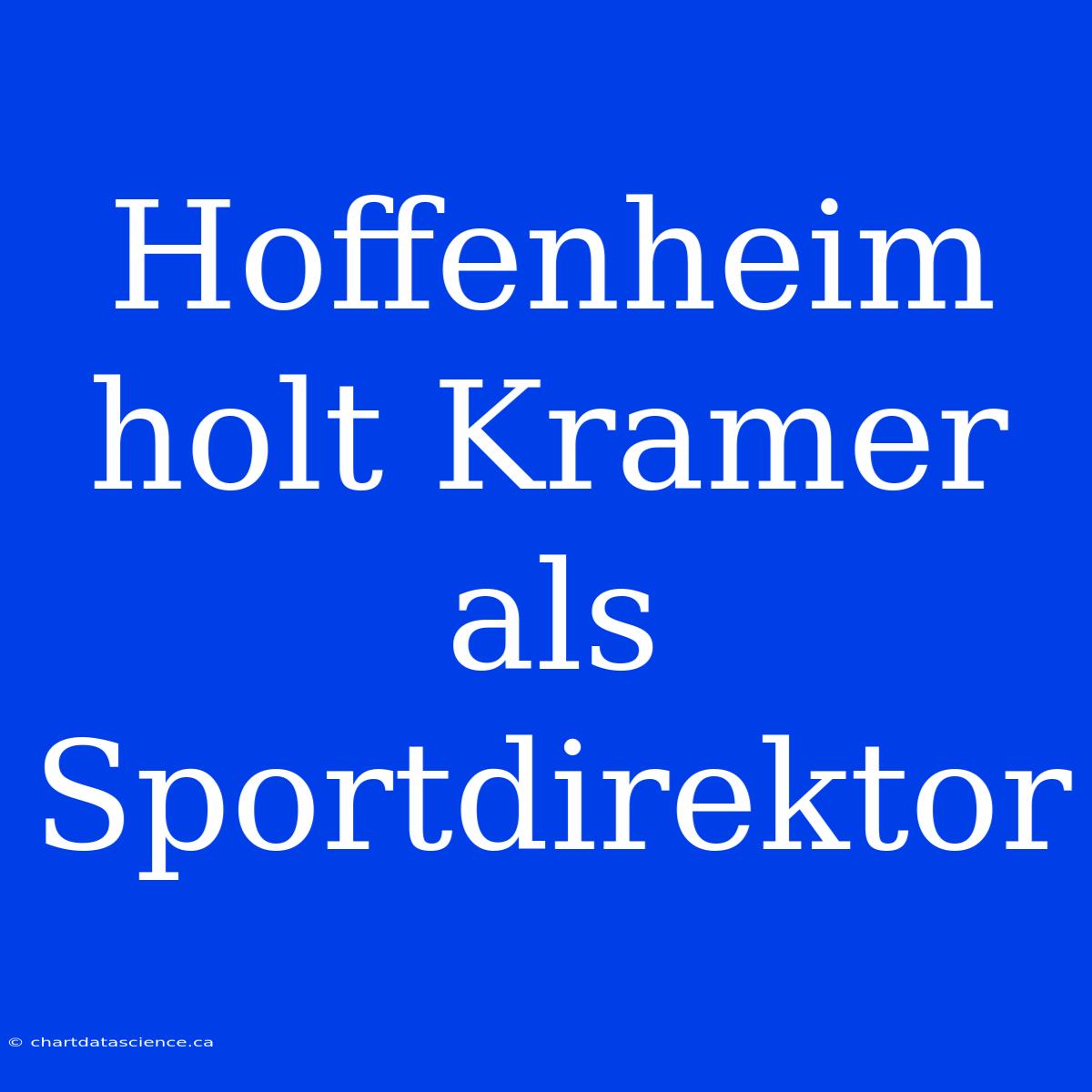 Hoffenheim Holt Kramer Als Sportdirektor