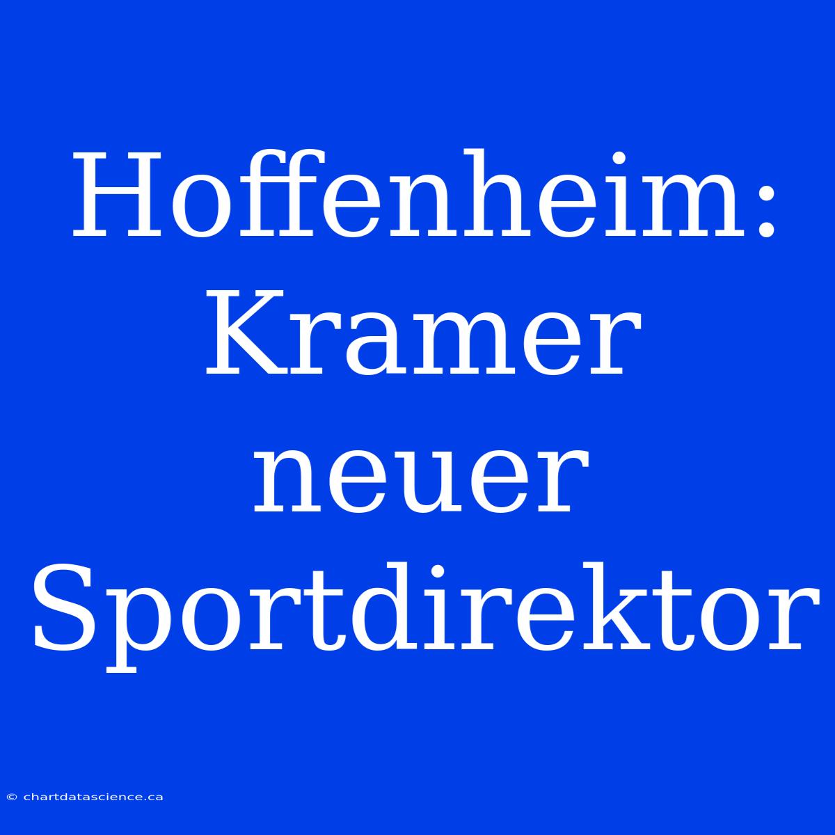 Hoffenheim: Kramer Neuer Sportdirektor