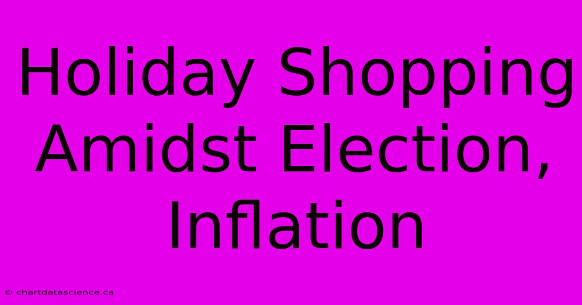 Holiday Shopping Amidst Election, Inflation