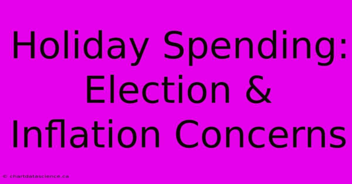 Holiday Spending: Election & Inflation Concerns