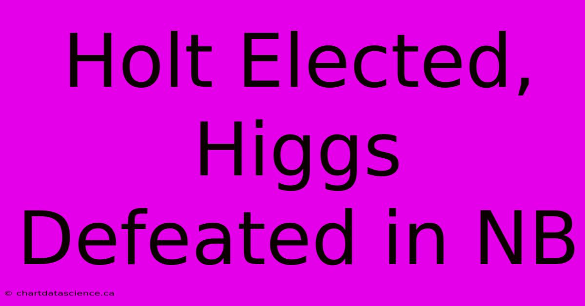 Holt Elected, Higgs Defeated In NB 