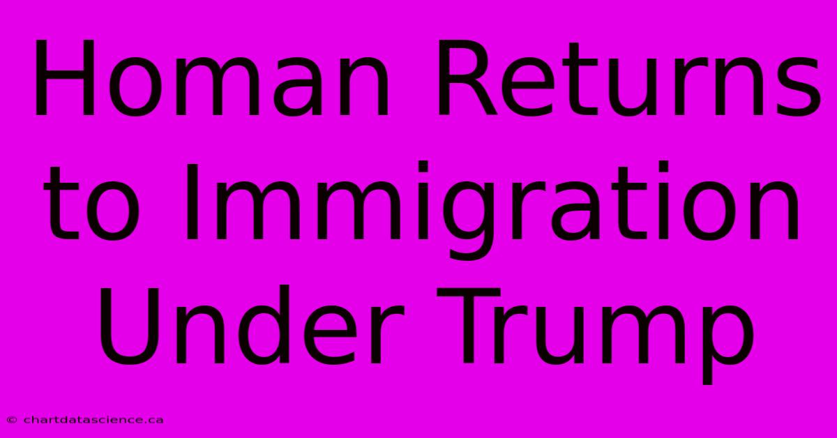 Homan Returns To Immigration Under Trump