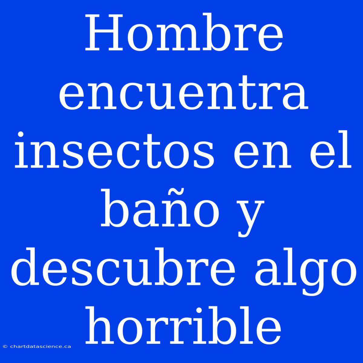 Hombre Encuentra Insectos En El Baño Y Descubre Algo Horrible