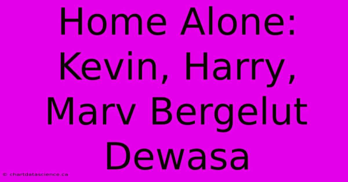 Home Alone: Kevin, Harry, Marv Bergelut Dewasa