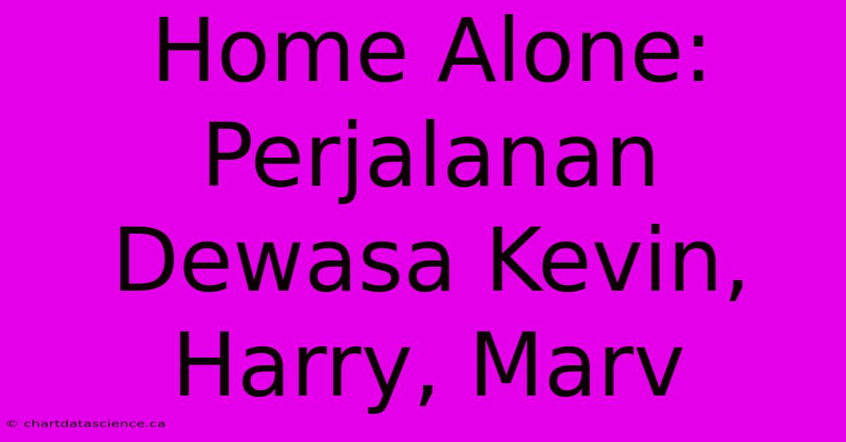 Home Alone:  Perjalanan Dewasa Kevin, Harry, Marv