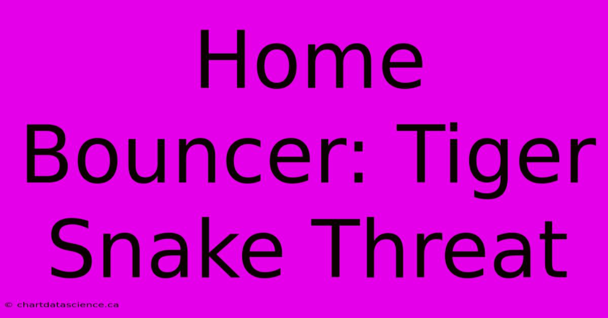 Home Bouncer: Tiger Snake Threat