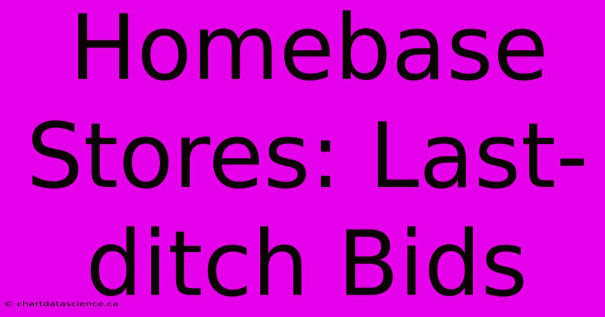 Homebase Stores: Last-ditch Bids