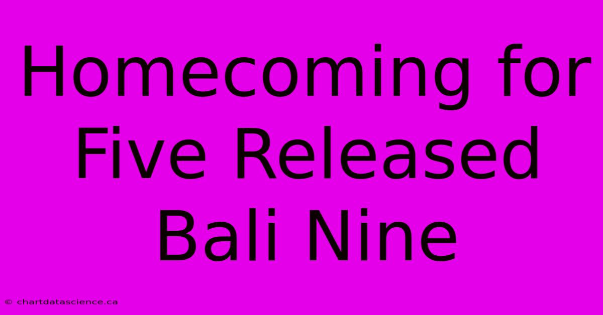 Homecoming For Five Released Bali Nine