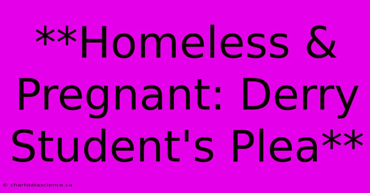 **Homeless & Pregnant: Derry Student's Plea** 