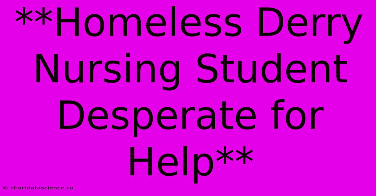 **Homeless Derry Nursing Student Desperate For Help** 