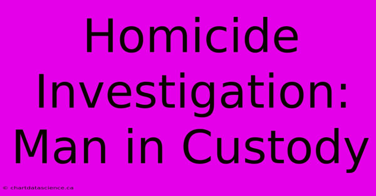 Homicide Investigation: Man In Custody