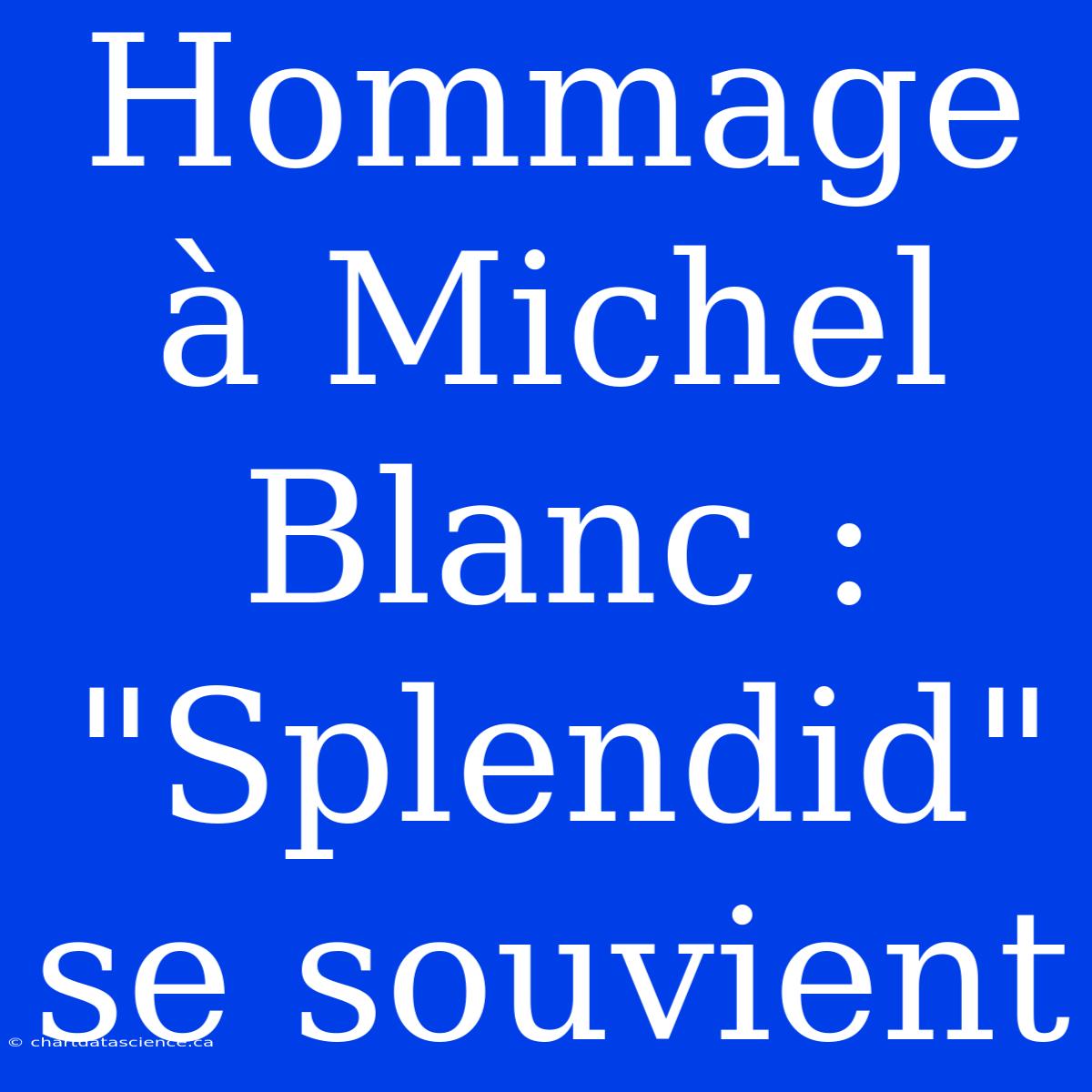 Hommage À Michel Blanc : 