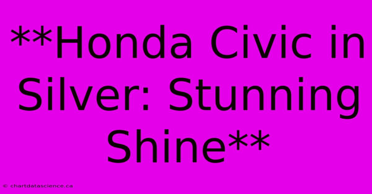 **Honda Civic In Silver: Stunning Shine**